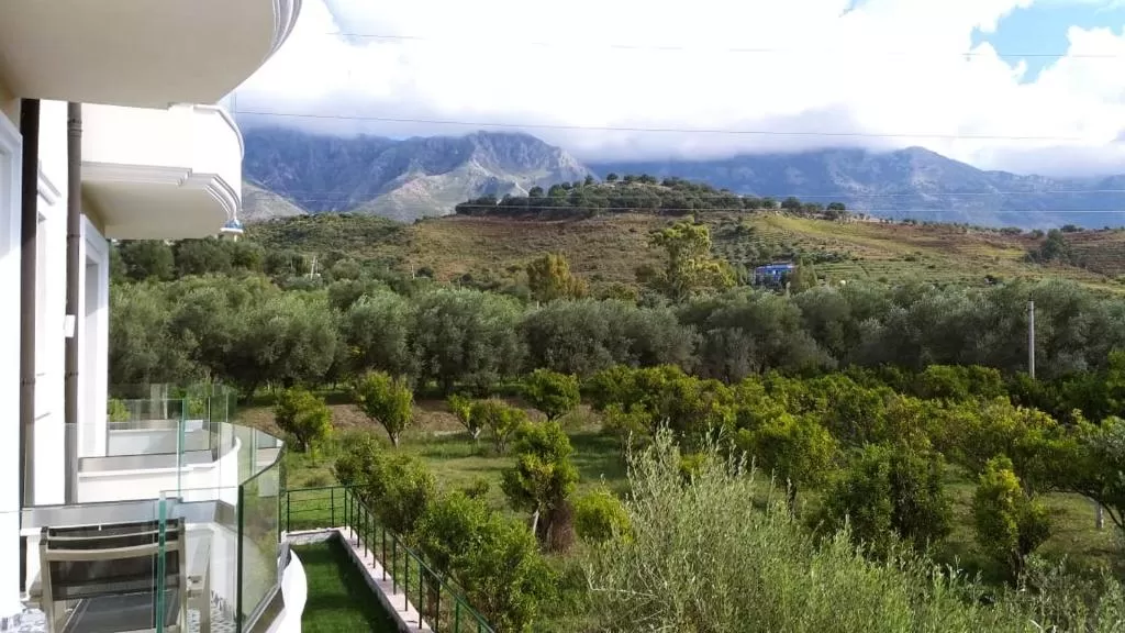 a&g dbl economy 3.jpg